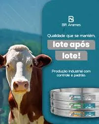 Arame Ovalado Br 700 Kgf - 1000M