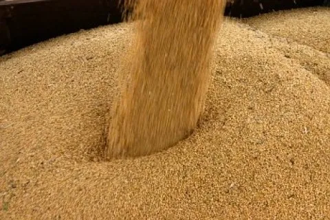 Farelo de Soja 40Kg